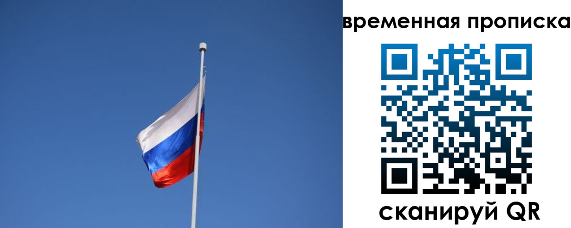 временная регистрация гарантия в Гусеве
